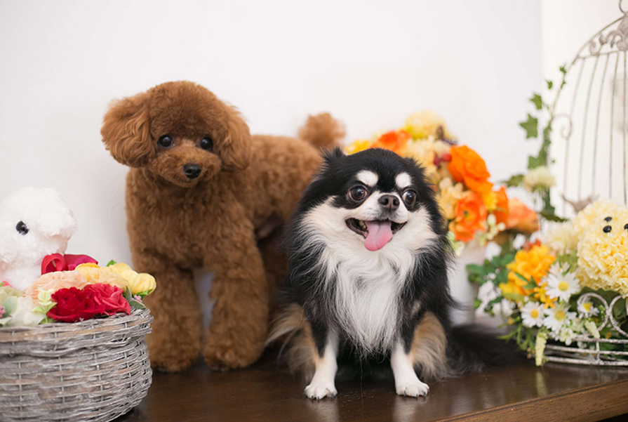 お渡しして終わりではなく、一生のパートナーとして