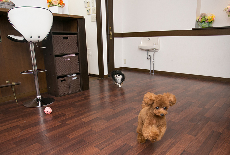 吉川栄町本店 写真