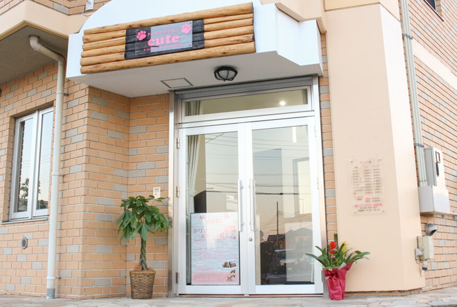 吉川美南店 写真