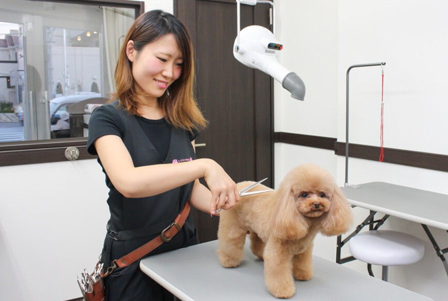 吉川美南店 写真