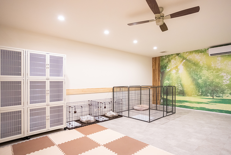 吉川美南店 写真