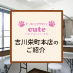 cute 吉川栄町本店のご紹介