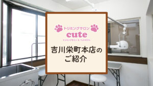 cute 吉川栄町本店のご紹介